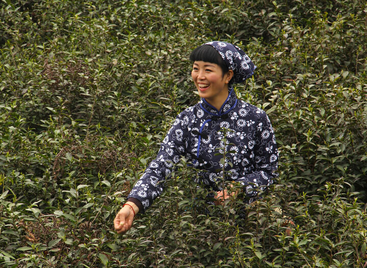 直播跳舞6